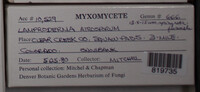 Image Associated With the Occurence